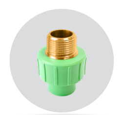 Picture of MALE ADAPTER BRASS THREADED PN25