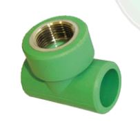 Picture of Tee Female